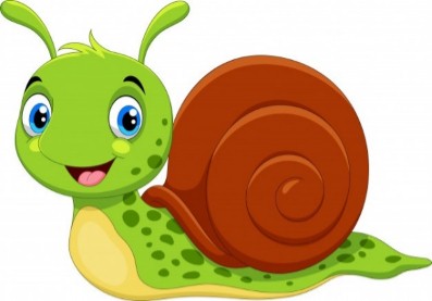 CARACOL